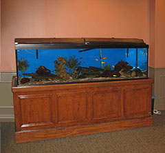 aquarium